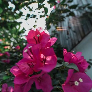 Oh Battambang Boutique Hotel